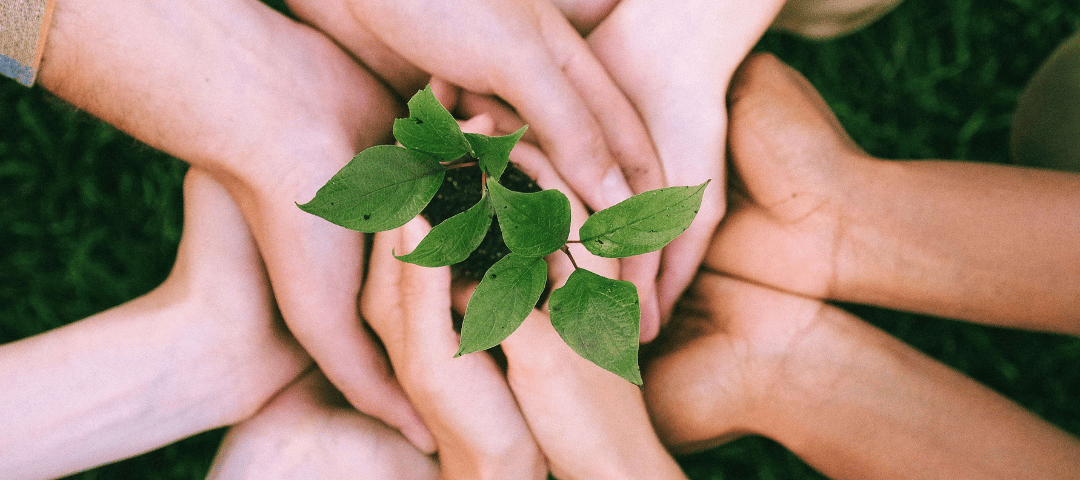 Higiénia Trade Hungary - A tisztaság partnere!